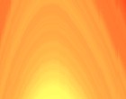 fin video