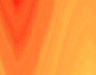 fcs fin