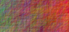 fisch bilder
