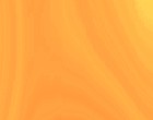 fisch bilder
