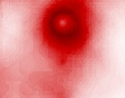 rote liste fische