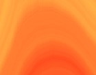 oil fisch