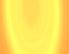 www fische de